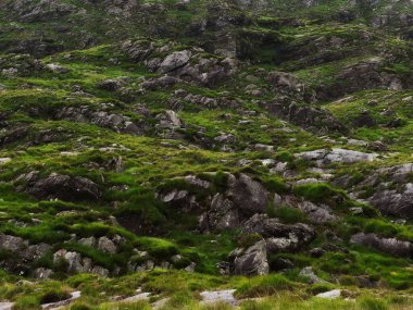 İrlanda kırsalında kayalık arazi, canlı yeşil çimenler ve Kerry ilçesinde gündüz vakti bulutlu gökyüzü sergilenir.