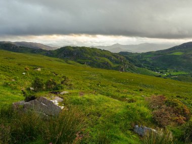 Geniş bir manzara İrlanda 'nın Kerry ilçesindeki Coomloughra At Nalı' nın yemyeşil, tepelik manzarasını gösteriyor. Dramatik bulutlar tepelerin üstündeki gökyüzünü dolduruyor..