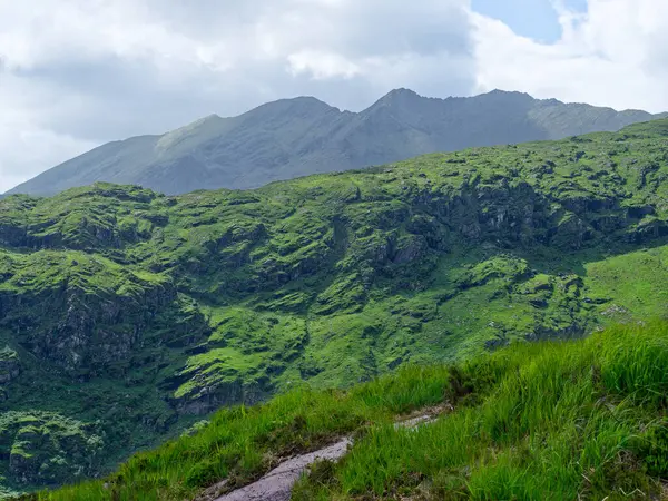 Dunloe, Kerry County, İrlanda 'daki dağların manzarası ve yemyeşil bitki örtüsü.