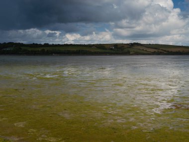 Kıyıda bulutlu bir gün, sığ sularda yeşil algler var..
