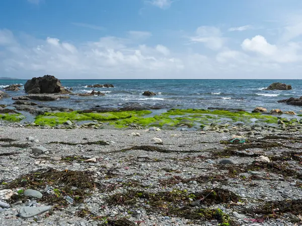 Kıyı şeridi bulutlu bir gökyüzünün altında okyanusla buluşuyor.