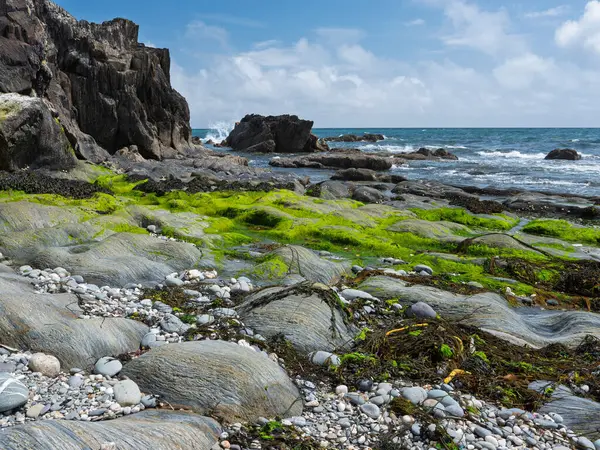 Kaya oluşumlu sakin deniz manzarası. Parlak bir günde kayalık bir plajın manzarası.