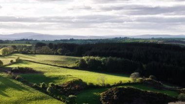 Güzel bir İrlanda kırsalında aydınlık bir sabahta. Batı Cork 'ta bulutlu bir gökyüzünün altındaki yeşil tepeleri ve ormanları görün..