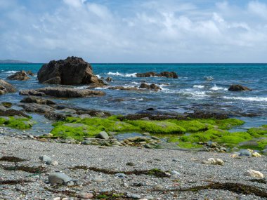 Okyanus dalgaları yosunlu kayalara çarpar. Kıyı şeridi bulutlu bir gökyüzünün altında okyanusla buluşuyor.