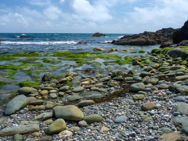 Okyanus manzarası engebeli kıyı şeridi.