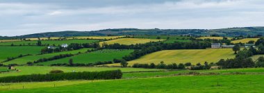 Yeşil ve sarı tarlalar İrlanda, West Cork 'un yumuşak tepelerini kaplar. Çiftlik evleri manzarayı noktalıyor ve bulutlu bir gökyüzü kırsal alanda yumuşak bir ışık yaratıyor..