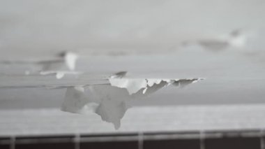 Banyo tavanına su ve nemden beyaz boya dökülüyor. Felaket ve çatıdaki bozulmanın sonucu.