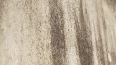 Çürüyen beton duvar. Pis pis harabe yüzeyi