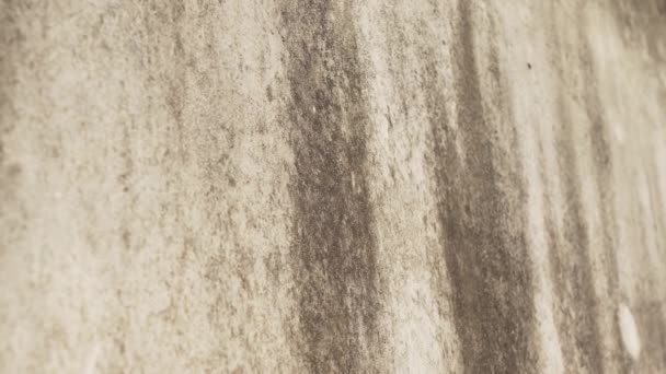 Σαπισμένο Τσιμεντένιο Τοίχο Από Κοντά Grunge Βρώμικο Τραχιά Επιφάνεια Καταστροφής — Αρχείο Βίντεο