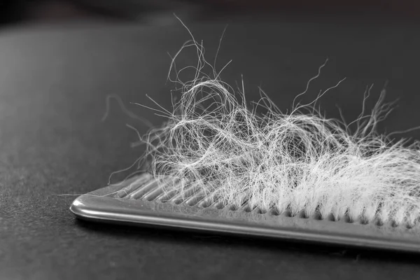 Gray Hair Loss Problem Plastic Comb Black Background — Stock Photo, Image