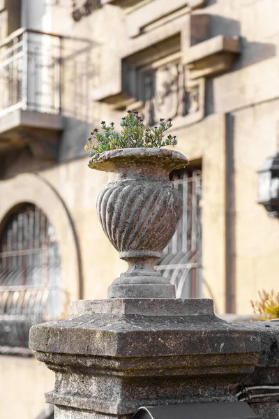 Maceta Hormigón Decorativa Con Una Planta Flores Calle Una Ciudad — Foto de Stock