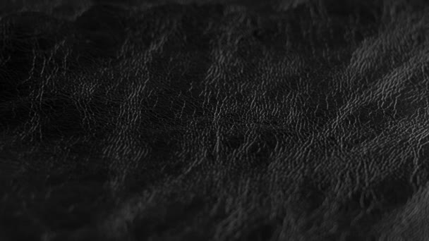 Cuero Genuino Lujo Negro Calidad Con Arrugas Textura Abstracta Oscura — Vídeos de Stock