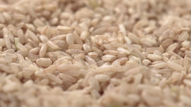 Grobkörniger Reis Biologischer Rohstoff Aus Asien Makro Rotation — Stockvideo