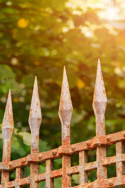 Sharp peaks of a antique wrought metal fence with old rust on green leaves background