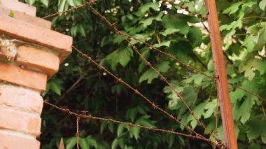 Korunaklı paslı dikenli tel dışarıdaki güvenlik çitlerinden örülmüş.