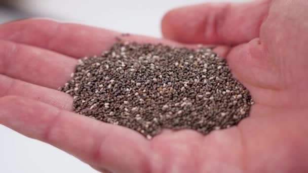 Handful Unprocessed Chia Seeds Hand Kitchen Close Wholesome Superfood Ingredient — Stock Video