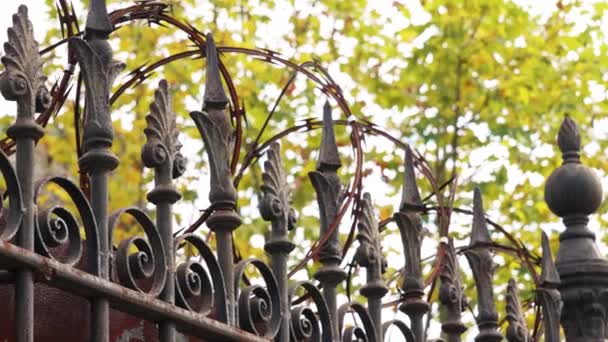 旧锈迹斑斑的铁栅栏与卷曲剃须刀在秋天的叶色背景 保护和安全概念 — 图库视频影像