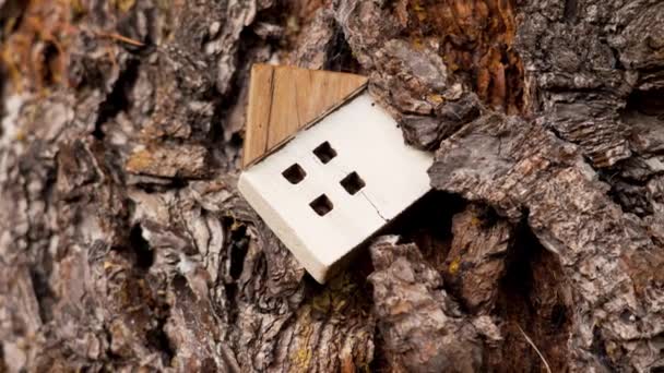 Dřevěný Dům Model Kůře Lesního Stromu Přírodě Domácí Eko Bydlení — Stock video
