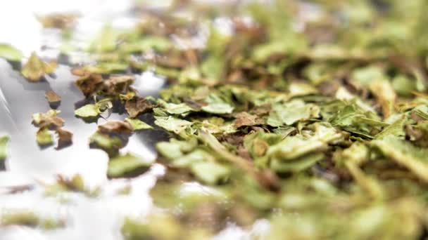 Trockene Blätter Der Heilpflanzenmilchdistel Alternative Pflanzliche Medizin Komponente Makro Rotation — Stockvideo