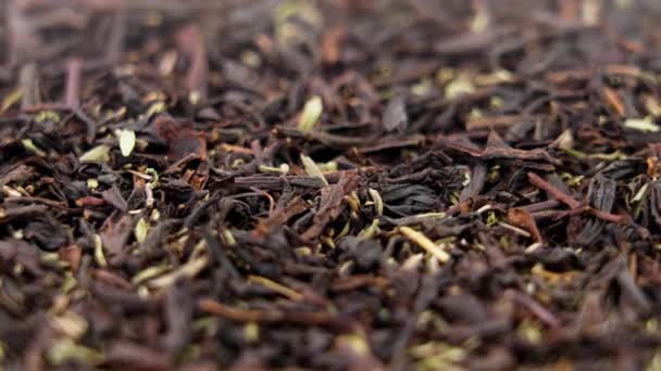 Dried Black Tea Leaves Thyme Herb Dry Healthful Herbal Healing — Stock Video