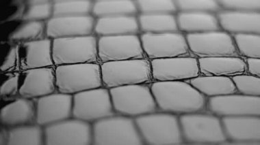 Black artificial crocodile leather texture. Abstract background. Rotation. Macro