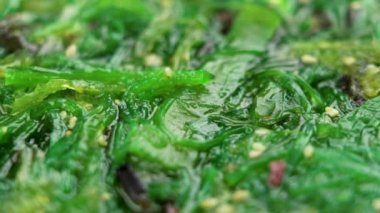 Japanese Wakame seaweed salad close up. Rotation. Macro shot