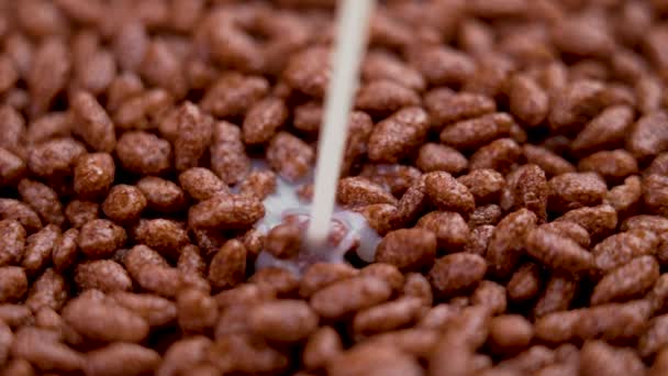 Milk Pouring Pile Chocolate Cereal Puffed Rice Flakes Cooking Crispy — Stock video