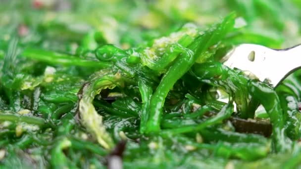 Japanese Wakame Seaweed Salad Fork Macro Shot — Video Stock
