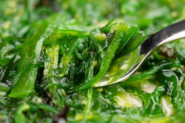Fork in wakame seaweed salad. Traditional restaurant sea food closeup