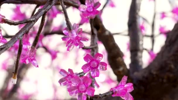 Christmas Illuminating Light Glass Pink Flower Decorations New Year Holiday — Stockvideo