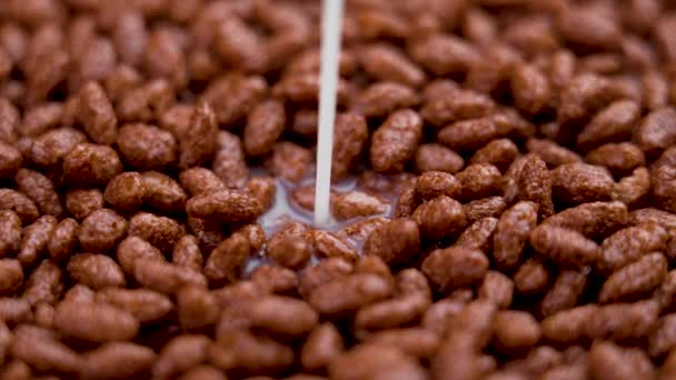 Oatmeal Milk Pouring Pile Chocolate Rice Flakes Slow Motion Crisp — Vídeo de Stock