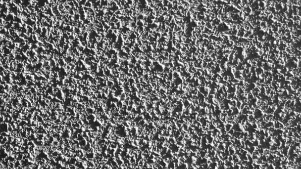 Cement Wall Rough Mottled Gray Surface Closeup — Stockvideo