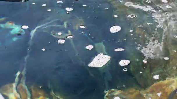 Biological Treatment Tank Dirty Toxic Water Foam — Stock Video