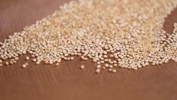 Råa Ekologiska Quinoa Dietary Frön Skakar För Rengöring Närbild Slow — Stockvideo