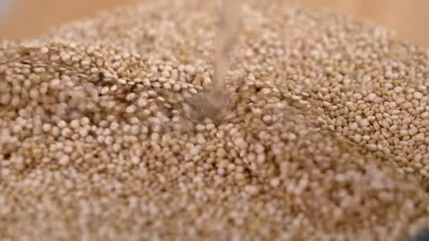 烹饪奎诺亚粥 将水倒入装有生籽的玻璃碗中 慢动作特写 — 图库视频影像