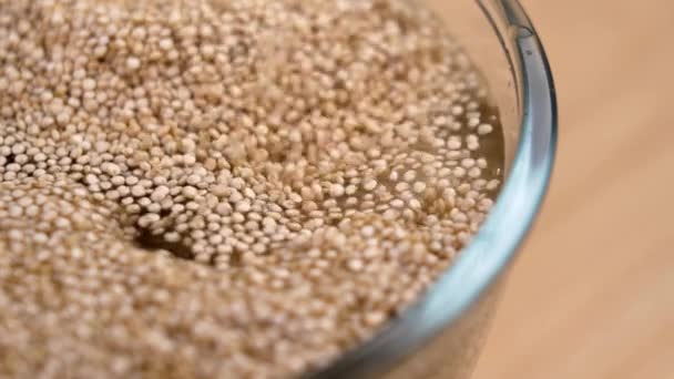 Quinoa Zabkását Főzök Nyers Magok Öntése Egy Pohár Vízbe Lassított — Stock videók