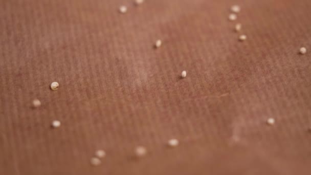 Graines Alimentaires Quinoa Biologiques Crues Tombant Sur Une Surface Papier — Video