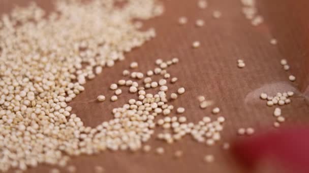 紙の上でゆっくりと動き出す白いキノアの種 スーパーフードグルテンフリー生穀物 — ストック動画