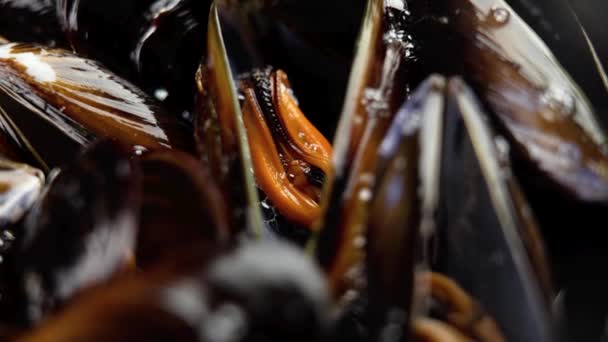Ştah Açıcı Deniz Midyesi Pişirdim Döndürme Deniz Ürünleri Kapanıyor — Stok video