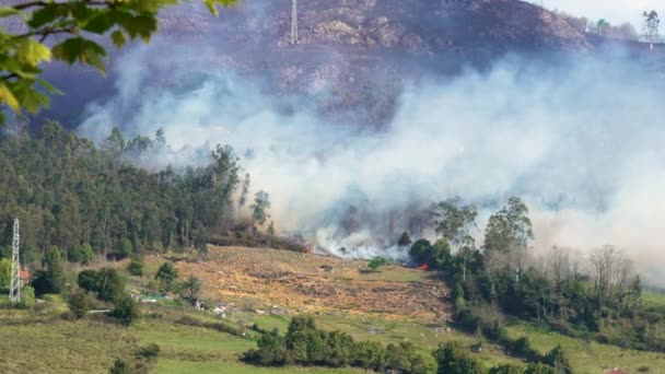 Oviedo España Abril 2023 Incendio Forestal Montaña Incendio Forestal España — Vídeo de stock