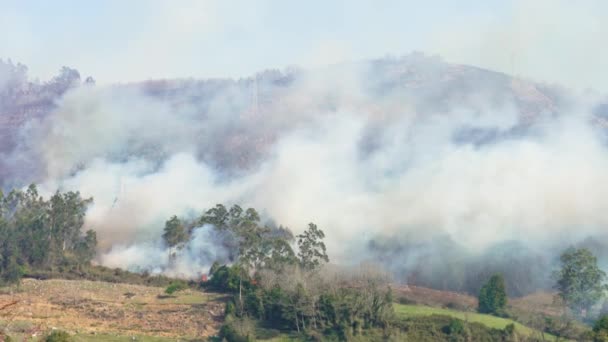 Fogo Floresta Montesa Espanha Fogo Selvagem Desastre Natural Devido Alterações — Vídeo de Stock