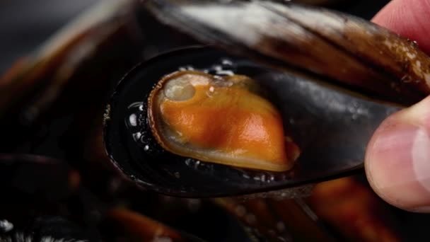 Vařené Mořské Mušle Shellfish Delikatesa Kuchař Ruka Detailní — Stock video
