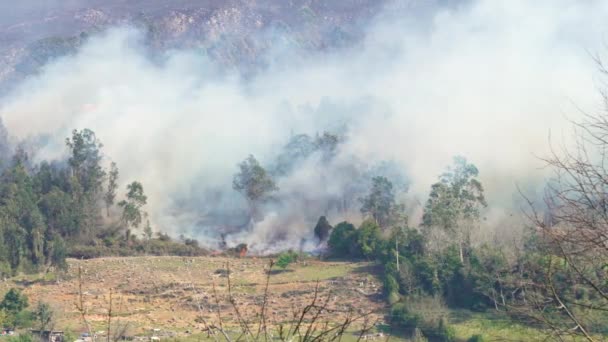Vahşi Ateş Montaine Tepesi Ndeki Orman Yangını Spanya Gündüz Orman — Stok video