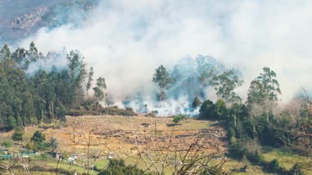 Lesní Požár Hořící Divoké Horské Lesy Lesním Požáru Kouřem Pokrývajícím — Stock video