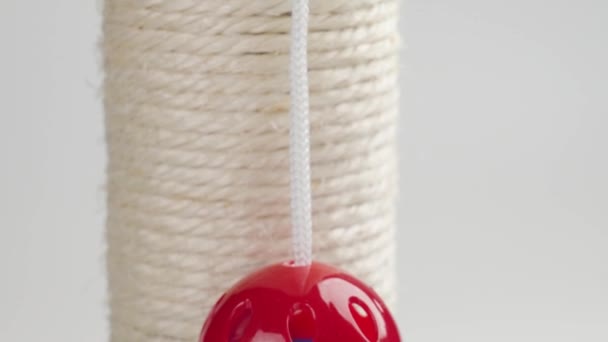 Katzenfarbener Spielball Mit Einem Seilkratzpfosten Blaues Rotes Plastikspielzeug — Stockvideo