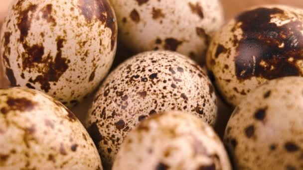 Huevos Codorniz Con Textura Concha Moteada Cerca Rotación — Vídeos de Stock