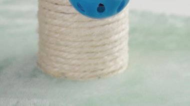 Bir odada pençe direğinde parlak küre oynayan bir kedi.