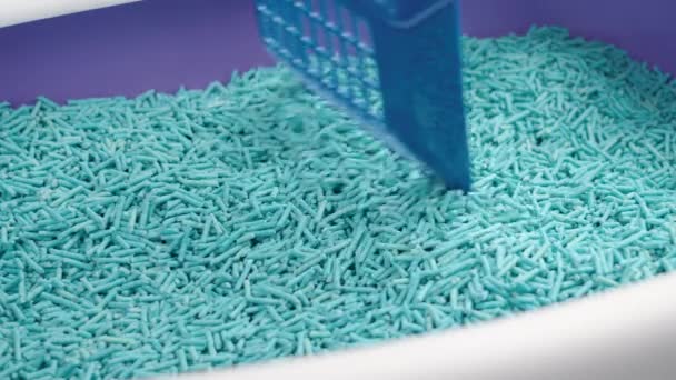 Koci Kuweta Niebieskim Czystym Wypełniaczem Biodegradowalnym Plastikową Miarką Zbliżenie — Wideo stockowe