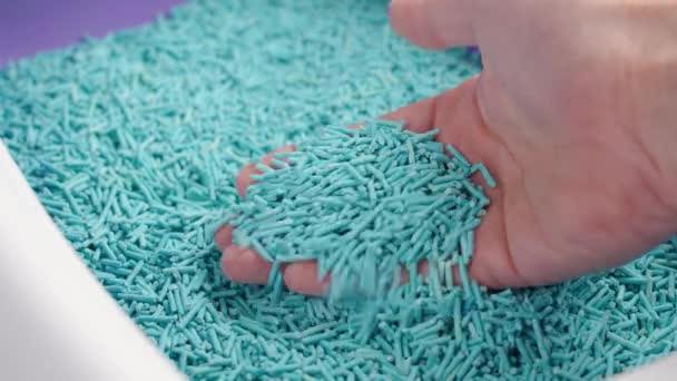 手を閉じて青い衛生的な顆粒ときれいな猫のごみ箱 — ストック動画