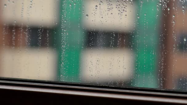 Torrential Rain City View Misted Room Window Raindrops Urban Autumn — Stock Video